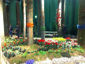 Grüne Woche 2015 Frühling in der Blumenhalle